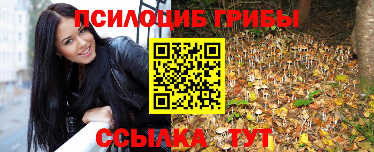 купить   Вход с VPN  Томск  Галлюциногенные грибы GOLDEN TEACHER 