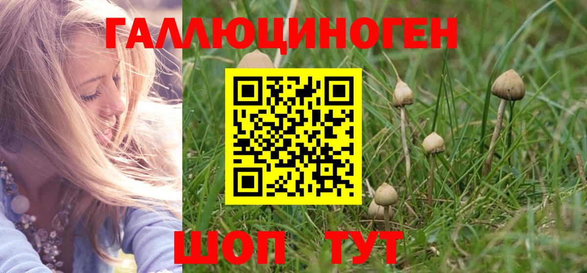 Псилоцибиновые грибы мухоморы Томск